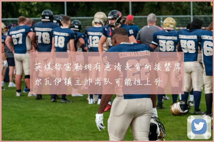 英媒称富勒姆有意请麦肯纳接替席尔瓦伊镇主帅离队可能性上升