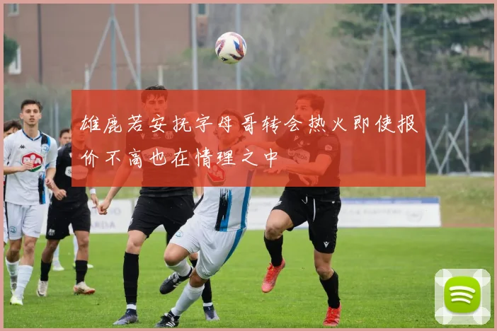雄鹿若安抚字母哥转会热火即使报价不高也在情理之中
